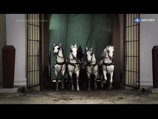 video величайшая гонка гонки колесниц в цирке 2 серия 2023 sex