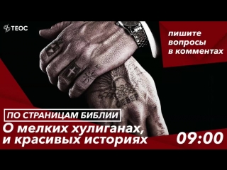 video о мелких хулиганах криминальных авторитетах и красивых историях sex