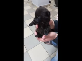 video 爱足美脚社美脚踩踏社区字母圈艾斯爱慕免费视频大全女 vid 20210306 095012 mp4 sex