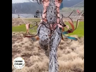 video искусство поражающее воображение sex
