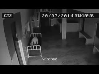 video запись со сьемки видеонаблюдения sex