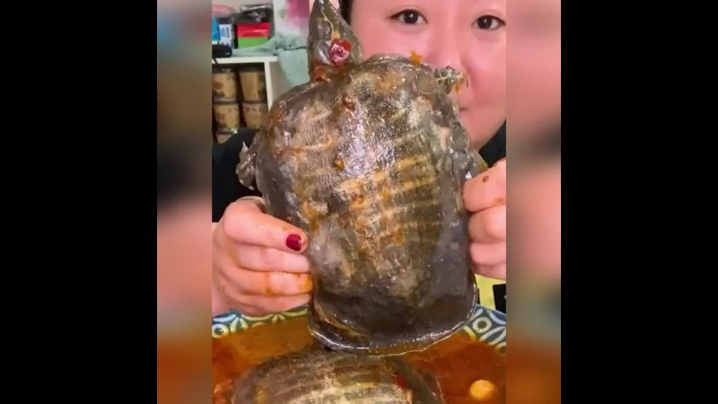 video черепашка по имени наташка sex