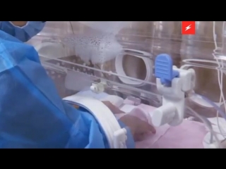 video вот такое чудо появилось на свет в китае в это трудно поверить но это гигантские панды близнецы sex