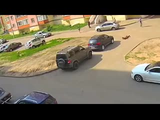 video в казани неадекватный шизик притворился червём sex