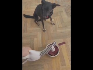 video схема проверенная на многих молодые sex