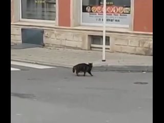 video невероятная планета sex