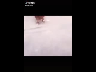 video большой член большие яйца бустер sex