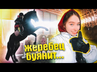video первый раз со шпорами тренироа с привязанными стременами vlog sex