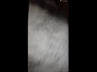 video видео от эротический массаж севастополь салон body sex