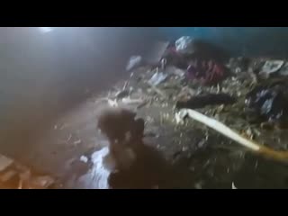 video заброшенные молодые в заброшенном доме sex