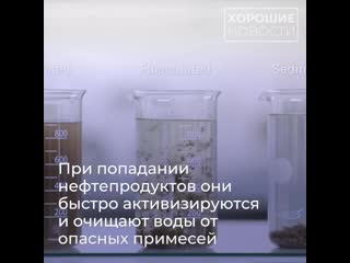 video сибирские ученые разработали уникальную технологию очистки сточных вод от нефти sex