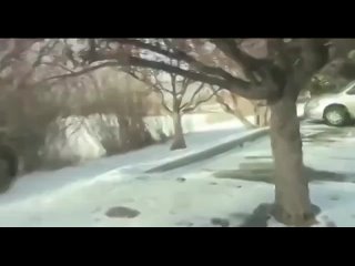 video худенькая молодка не стесняется снимать порнуху анал вписка слив мраком куни минет отсосала домашнее любительское sex