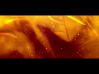 video dance mania театр современного танца флорес realchill спецназ sex