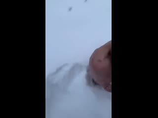 video закладчик решил кинуть своего работодателя sex