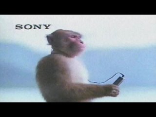 video vcr classique modern electronic sex