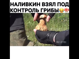 video налиин взял под контроль незаконный сбор грибов sex