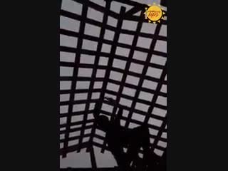 video деревянный дом построенный одной девушкой sex
