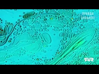 video гидрогели в вакцине против covid как программируемый человеческий интерфейс sex