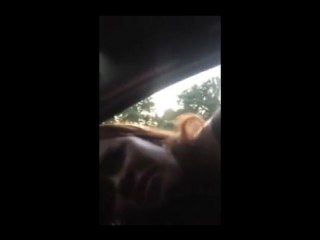 video стрим 18 летняя студентка играет в карты на раздевание розыгрыш вимеров за подписку не порно и не секс не эротика sex