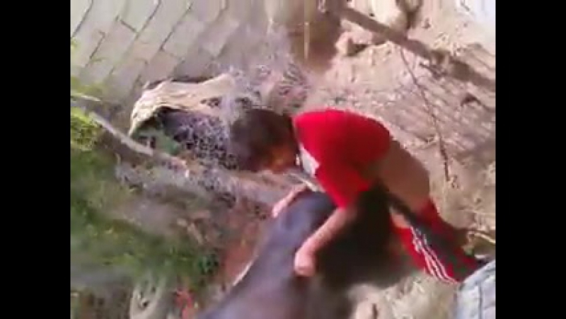 video аморальный любитель ишаков sex