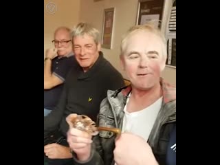 video старикан поспорил в пабе и проигрывает sex