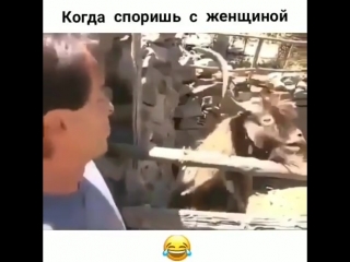 video video by прикольные видосы и картинки sex
