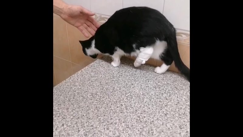 video 牛人夫妻自拍玩sm滴蜡捆绑把阴道都给插爆了还若无其事 vid 205661225 084405 867 mp4 sex