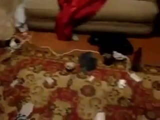 video студенты трахаются на вписке под алкоголь sex