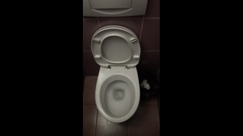 video женщина держит мужчину глупая за горло умная за член мудрая за руку а гениальная вообще недержит надпись в sex