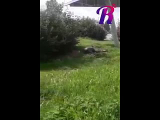 video секс на привокзальной площади sex
