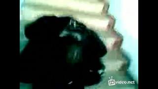 video дал в рот незнакомой пьяной телке в подьезде pornoanalsexаналтрахсексминетсосетлижеткуниженужопапорно sex