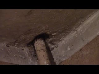 video кгбист сверлит дырку пророку санбою sex