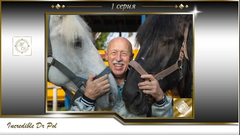 video невероятный доктор пол 1 серия s01e01 неутомимый ветеринар vet and wild sex