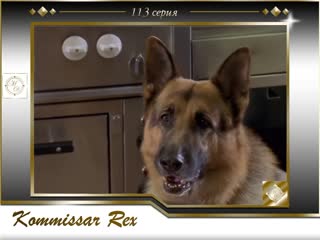 video komissar rex 9x12 ein toter und ein baby комиссар рекс 113 серия маленькое счастье sex