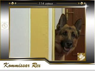 video komissar rex 9x13 sein letzter sonntag комиссар рекс 114 серия его последнее воскресенье sex