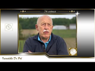 video невероятный доктор пол 26 серия пол спешит на помощь s04e08 pol speed ahead sex