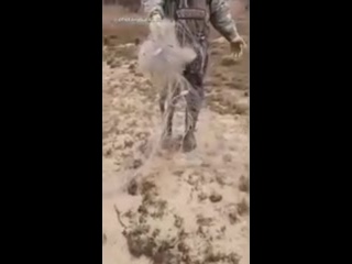 video медведь похозяйничал в лагере рыбаков vtldtlm gjjpzqybxfk d kfutht hsfrjd vtldtlm gjjpzqybxfk d kfutht hsfrjd sex