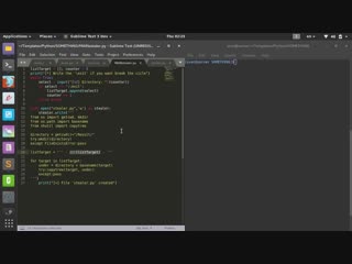 video cryptofun it злокодинг с python 7 простой стиллер sex