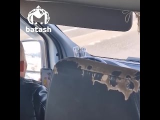 video водитель маршрутки из стерлитамака смотрел порно за рулём sex