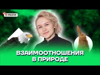 video взаимоотношения в природе sex