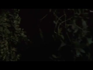 video повалил девушку на землю и принудительно засунул в неё член sex