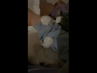 video 宅男福利pr社极品网红少女我是你可爱的小猫之被哥哥把pp打红 code kunst instastory 04112020 sex