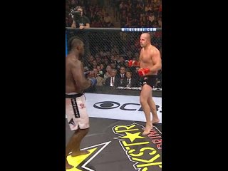 video фёдор емельяненко бретт роджерс sex