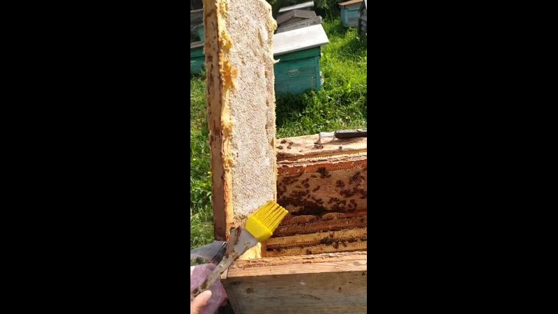video 斗鱼tv主播zz小姨妈熊猫祖祖小姨妈露奶扣穴下海视频第二部 vid 20220812 090701 mp4 sex