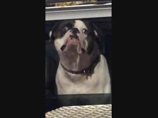 video locked eyes with this fella at the grocery store sex