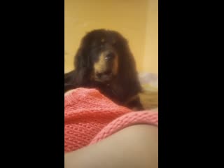 video orgasm storageemulated0dcimcameravid 20200130 145737 mp4 sex