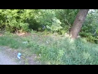 video коллекция палева порно инцест домашнее спалились завет подсмотрено треш русское прон трах анал минет зрелая sex