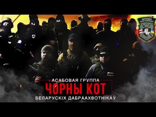 video отдельная группа белорусских добровольцев черный кот обратилась к белорусским военным sex