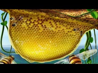 video сотовая земля 1 live в эфире котляров soulgoodman и illuminati insider sex