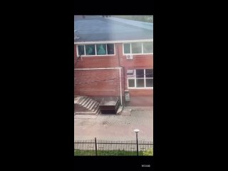 video sistar img 0539 mp4 sex